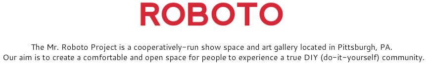 THE MR. ROBOTO PROJECT
